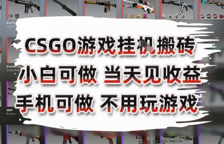 CSGO游戏挂G搬砖，小白纯手机即可操作，不用电脑打游戏，日入3张+，副业网创项目【揭秘】-林文副业站
