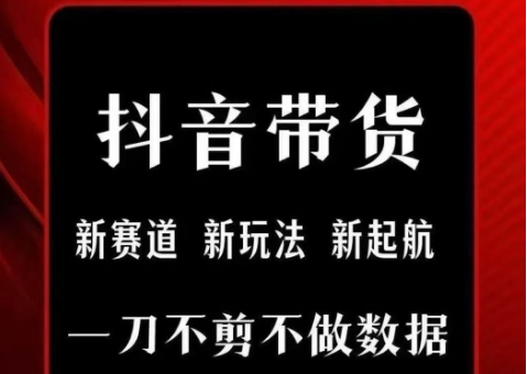 抖音短视频一刀不剪带货，不剪辑，不直播，每天发个视频，等着出单获取带货佣金-林文副业站
