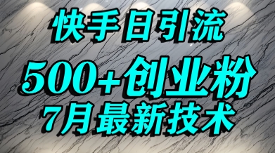 创业粉怎么打？快手精准引流创业粉，宝妈群体日进500+精准流量-林文副业站