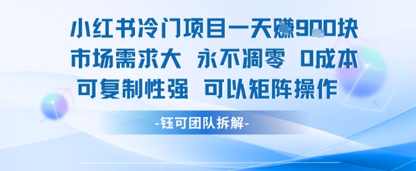 小红书冷门项目一天收益9张，市场需求大，0成本，可复制性强可以矩阵操作-林文副业站