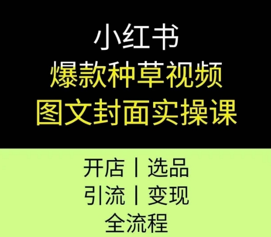 小红书爆款种草视频图文封面实操课，开店、选品、引流、变现全流程-林文副业站