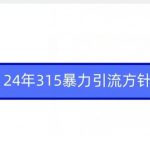 24年315暴力引流方针