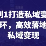 从0到1打造私域变现商业闭环，高效落地实现私域变现