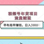 视频号年货项目，流量贼猛，早布局早挣钱，日入上k【揭秘】