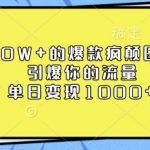 10W+的爆款疯颠图文，引爆你的流量，单日变现1k【揭秘】