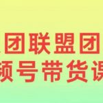 狼团联盟2024视频号带货，0基础小白快速入局视频号