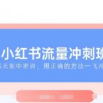 小红书流量冲刺班2025，最懂小红书的女人，快速教你2025年入局小红书