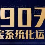 90天淘宝系统化运营，从入门到精通