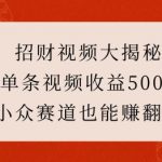 招财视频大揭秘：单条视频收益500+，小众赛道也能挣翻天!