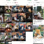 最近很火的爆款猫咪做饭视频拆解，小白一周涨粉2万，单条10万+播放(附保姆级教程)