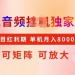 全网首发搜狐音频挂JI独家技术，项目红利期，可矩阵可放大，稳定月入8k【揭秘】
