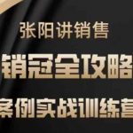 张阳讲销售实战训练营，​案例实战训练，销冠全攻略