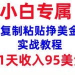 复制粘贴挣美金，0门槛，1天收入95美刀，3分钟学会，内部教程(首次公开)