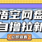 全网首发悟空网盘云真机自撸拉新项目玩法单机可挣10.20不等