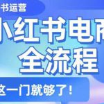 小红书电商全流程，精简易懂，从入门到精通，学这一门就够了