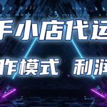 快手小店代运营 限时托管计划 合作模式 利润五五分成【揭秘】