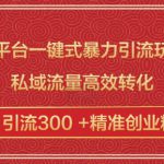 跨平台一键式暴力引流玩法，私域流量高效转化日引流300 +精准创业粉