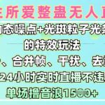 一生所爱无人整蛊升级版9.0，利用动态噪点+光斑粒子光条推进的特效玩法，实现24小时实时直播不违规操，单场日入1.5k
