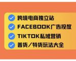 跨境电商独立站及全域流量营销，从0基础快速入门并精通跨境电商运营