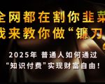 全网都在割你韭菜，我来教你做镰刀,2025普通人如何通过知识付费，实现财F自由【揭秘】