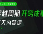 一人公司：流量变现课，一人公司的方法模型拆解， 拆解富人思维，流量思维，小老板思维等