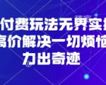 淘宝付费玩法无界实操课程，高价解决一切烦恼，大力出奇迹
