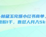 即梦+林黛玉完爆小红书商单，3天涨粉1千，靠怼人月入5k+