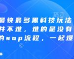 拼多多最快最多黑科技玩法，拼多多起量并不难，难的是没有一套完整的sop流程，一起爆单!
