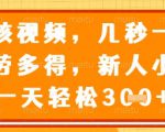 视频审核员，几秒一单，不限时间，不限地点，多做多得，新人小白一天轻松几张+【揭秘】