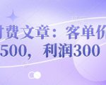 付费文章：客单价500，利润300