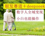 银发赛道+deepseek数字人全域变现，小白也能操作