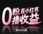 0粉在小红书撸收益，日入几张