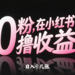 0粉在小红书撸收益，日入几张