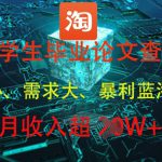 大学生毕业论文查重，暴利蓝海项目，月收入过1W+