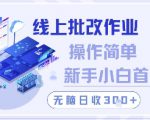 线上批改作业，操作简单新手小白首选，无脑日收300+【揭秘】
