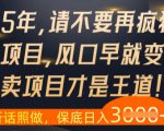 什么？25年你还在疯狂找项目做，醒醒吧，看完这些你全都懂了【揭秘】