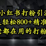 小红书打粉引流，一天轻松500+精准流量，大佬都在用的打粉教程