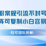 小红书男粉常规引流不封号日引99+变现简单 可矩阵可复制小白容易上手