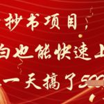 公众号抄书项目，简单粗暴，小白也能快速上手，有人一天搞了1k+