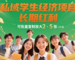 私域学生经济项目，长期红利，可批量复制放大，日收益2-5张