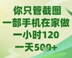 你只管截图，一部手机在家做，苹果安卓都可以，一天5张+【揭秘】