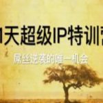21天超级IP特训营，屌丝逆袭的唯一机会