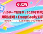 小红书一年陪伴课【2025年新课】，用短视频+deepSeek打爆款，史上最干货的小红书店铺爆款课程