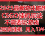 2025最新游戏搬砖，CSGO挂G，不需要玩游戏，实现真挂G，月入1W+【揭秘】