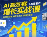 AI高效获客增长实战课，​AI找客户 私域自动化 高效工作流 直播快变现
