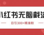小红书只要你有同行就能获客，独家野路子获客玩法，暴力截流【揭秘】