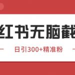 小红书只要你有同行就能获客，独家野路子获客玩法，暴力截流【揭秘】