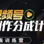 视频号创作分成计划陪跑训练营，手把手教会你如何制作视频，细水长流型项目