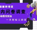 网创搬砖项目，国内问卷调查，0基础看完就会 一天轻松三四张，靠谱副业干就完了【揭秘】
