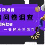 网创搬砖项目，国内问卷调查，0基础看完就会 一天轻松三四张，靠谱副业干就完了【揭秘】